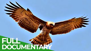 WiId & Unknown - Bosnia and Herzegovina | Part 2: The South | Free Documentary Nature by Free Documentary - Nature 45,408 views 3 months ago 51 minutes