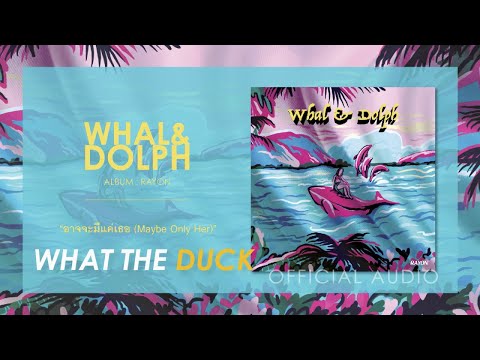 whal dolph letras2 com whal dolph letras2 com