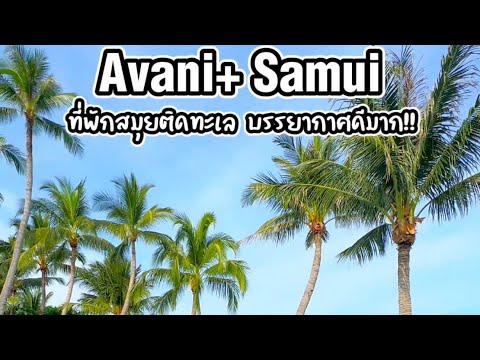 “Avani+ Samui” ที่พักสุดชิลล์ริมทะเลสมุย สงบ ไม่วุ่นวาย เหมาะกับการพักผ่อนสุดๆ