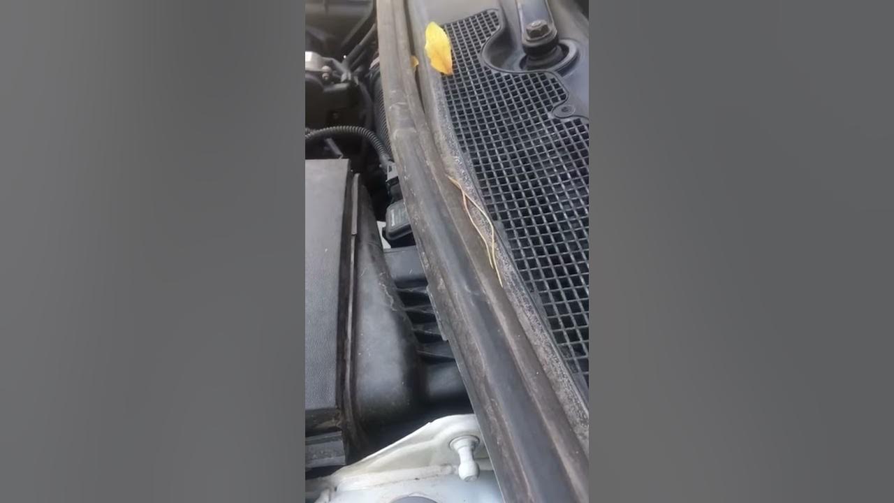 Weird Noise After Shutting The Engine Off 1.5dci 66kw - YouTube