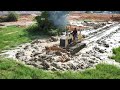 Amazing Extreme operator bulldozer pushing clearing mud and for land fill up process!