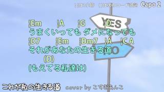 カバー45『これが私の生きる道/PUFFY』  コード歌詞付  小杉あんこ