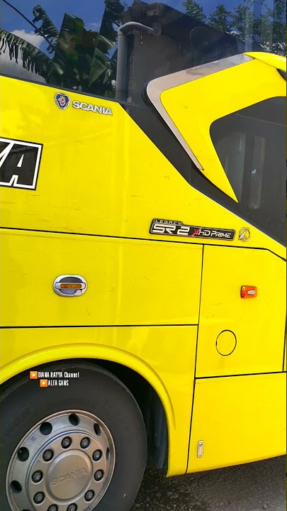 Busses of Indonesia #ForYou Michigan feat Delilah Bus Sudiro Tungga Jaya #BusIndonesia #travel