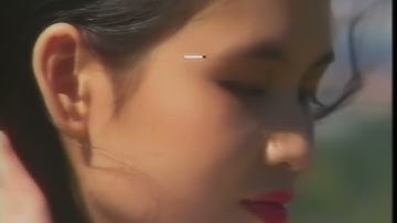 Bài Cuối Cho Người Tình - Ngọc Lan