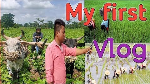 My first vlog 🔥 || my first vlog on youtube|| my first video❤@Aditya.Vlog.27 @ManojDeyVlogs