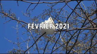 Au lieu de se souvenir : journal du regard (Février 2021)