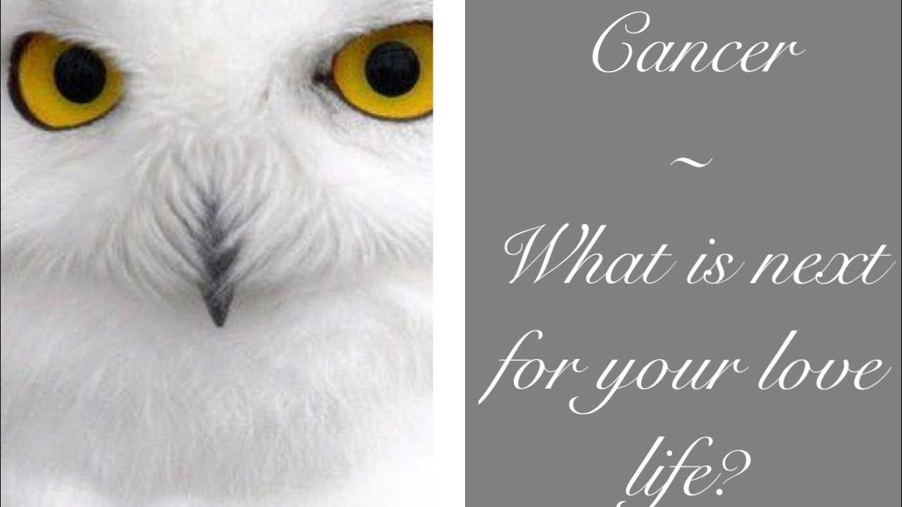 Cancer - Love...😜 - 2nd half of May - You endured so much... They will offer their love!