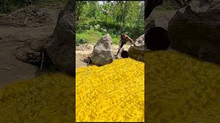 Oh, my God,,The Man Successfully Found Yellow Mud That Contains Gold #golddiscovery #findgold