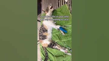 Please consider donating—link in bio. Every bit counts.