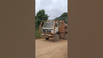 Arrival of logging truck in sawmill factory! #shortsviral