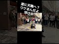 JOSTAR大阪イノゲート最高『チェンジヨアライフ』空を飛んで生きてみた　#jostar #ジョースター #ジョウスター