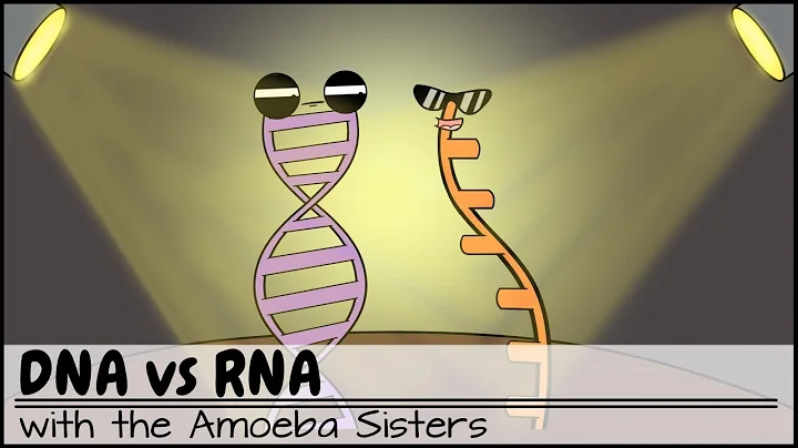 DNA vs RNA (Updated) - DayDayNews