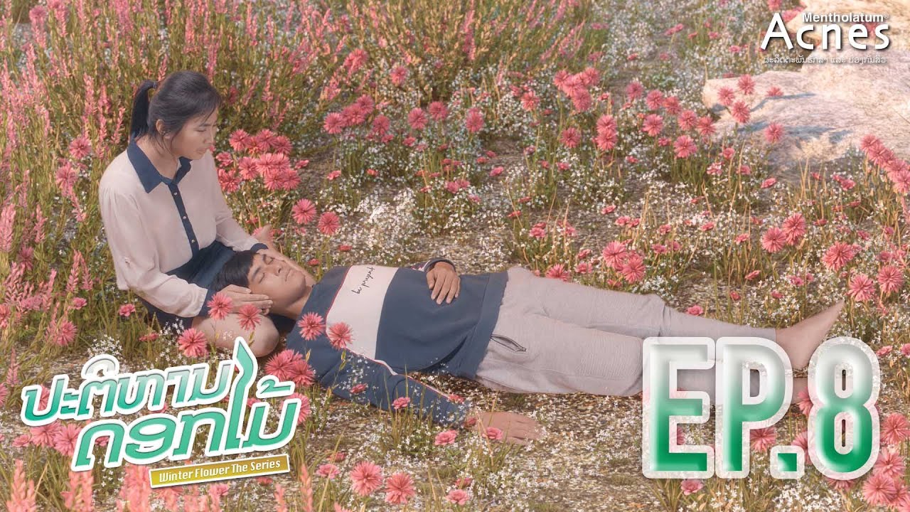 ຕອນທີ.8 (ຕອນຈົບ) ປະຕິຫານດອກໄມ້ ຊີລີ້ / Winter Flower the series EP.8