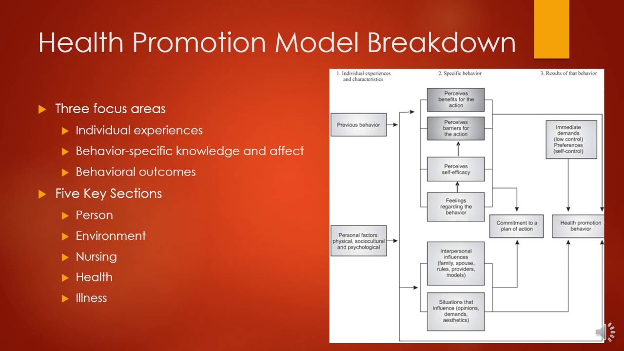 The Health Promotion Model By Nola Pender