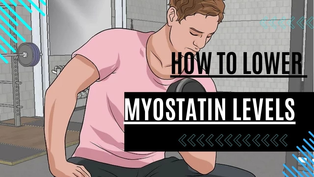 How to Lower I Myostatin Levels