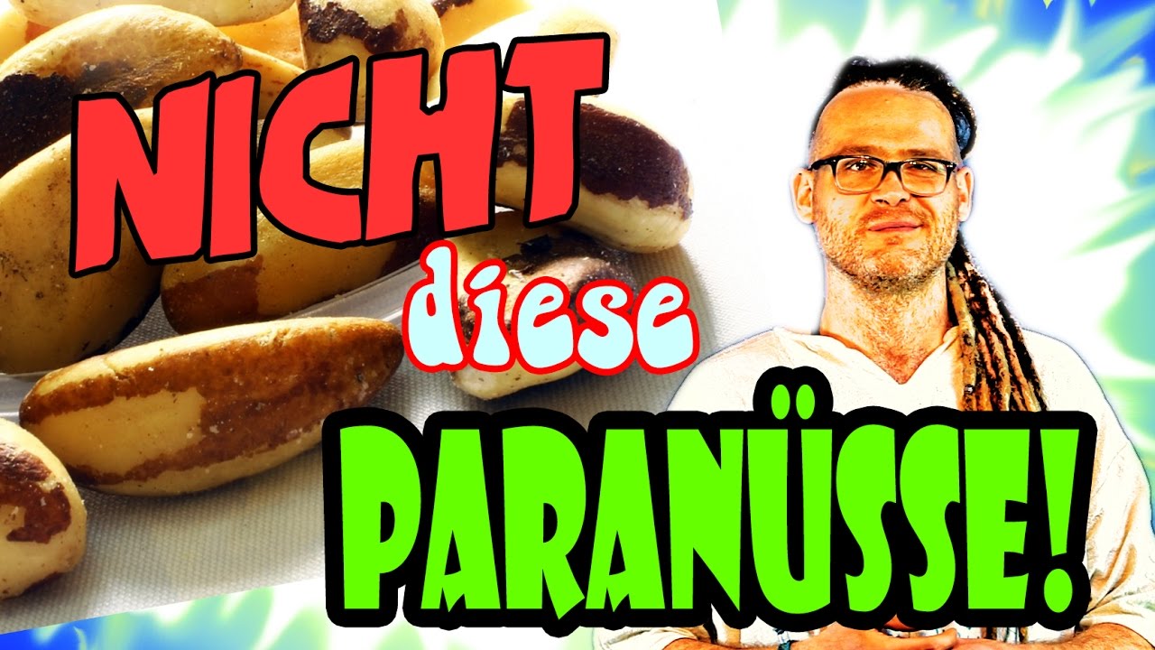 Paranüsse kaufen? Lidl vs Aldi & Kaufland UND Video ...