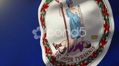 Virginia Flag Waving In The Wind. Looping Sun Rises Style. Animation Loop