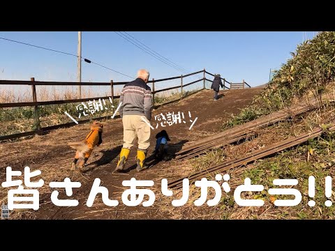 沢山の優しさに触れた5日間の事