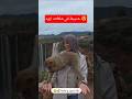 Khadija At The Ouzoud Waterfalls Wissal And Ali Explore Mnaim Moroccan Jewel Duet Trend 