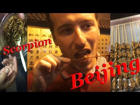 Eating Scorpions in Beijing,Great Wall,Forbidden City,Wangfujing Street
