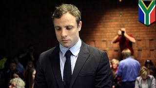 Oscar Pistorius trial: Witness heard 'blood curdling screams', then gunshots