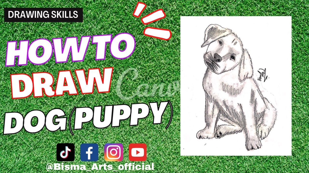 How to Draw Dog Step by Step 🐕 || How To Draw A Dog Easy Step By Step ...