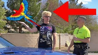 BEST Security Guard Pranks (NEVER DO THIS!!!) - POLICE MAGIC PRANKS FUNNY COMPILATION 2019