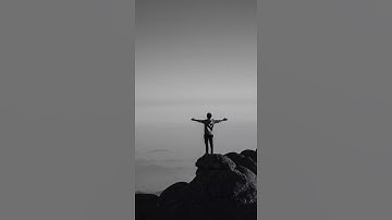 شيخ رعد محمد الكردي اجمل حالات واتس اب دينية سورة الممتحنة 🌼💙
