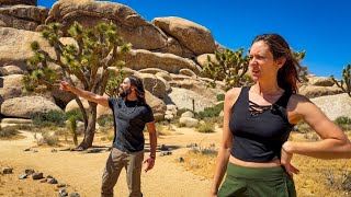 Joshua Tree National Park Took a Weird Turn