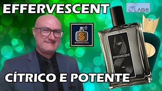 EFFERVESCENT LAB 8 - CITRUS AND POWERFUL