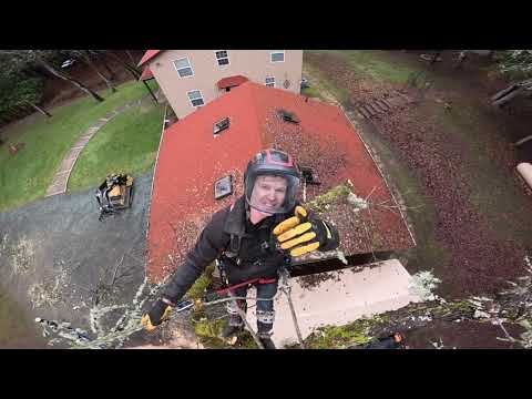 Engineering Small Limbs For Strength: Tree Rigging Over A Home