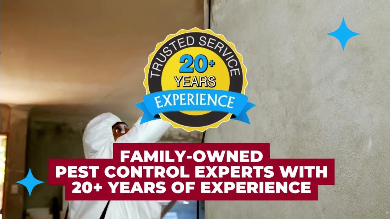 Top 5 Home Pest Control Services How Legacy Pest Control Outperforms the Rest YouTube