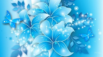 تلاوة رائعة للمقرئ عثمان بن خالو