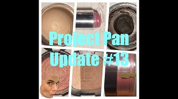 Project Pan Update #13 October 2021