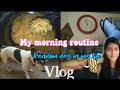 My morning routine  random day in my life   ft loshini