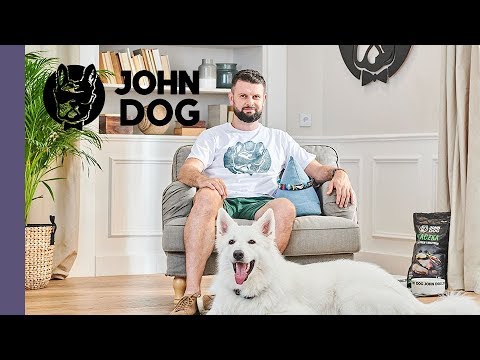 Co zrobić, gdy pies nas atakuje? - Q&A – John Dog