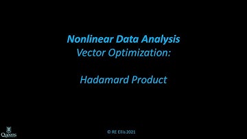 NonlinearData11fHadamardProduct