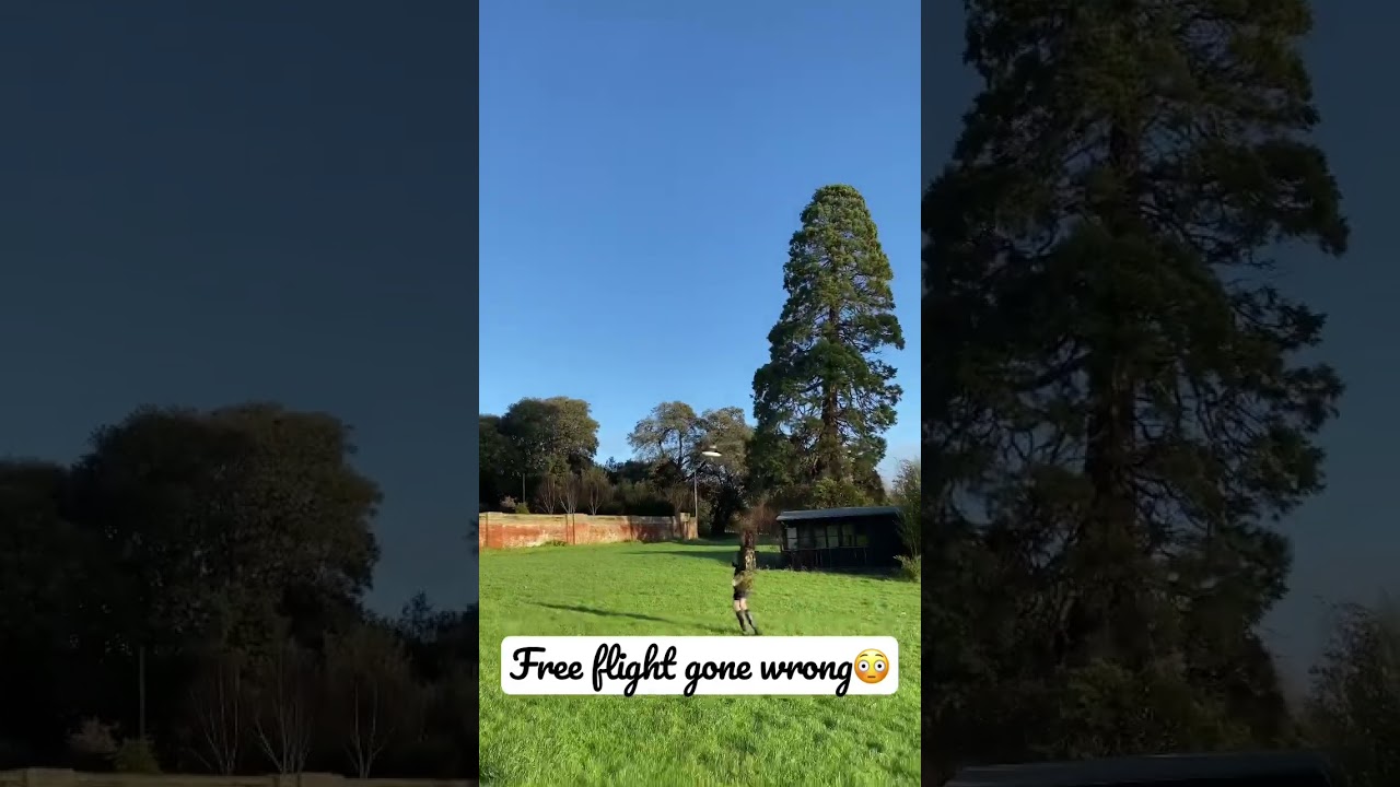 Balsa glider fights back! 