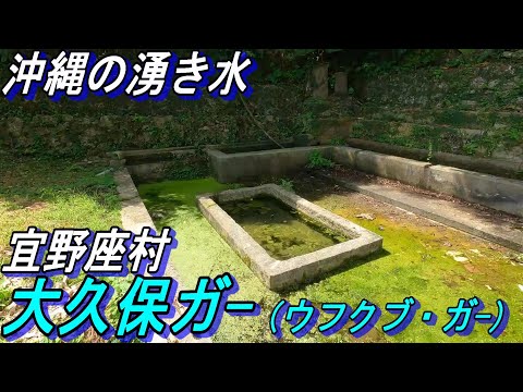 【沖縄の湧水】宜野座村「大久保がー」うふくぶがー、やんばるを代表する湧き水発見しました～
