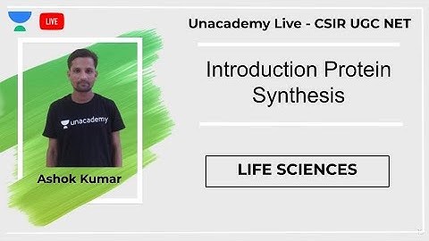 Introduction Protein Synthesis | Life Sciences | Unacademy Live - CSIR UGC NET | Ashok Kumar