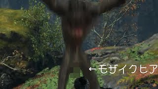 【ゆっくり実況】変な五人組によるSEKIRO実況　part22