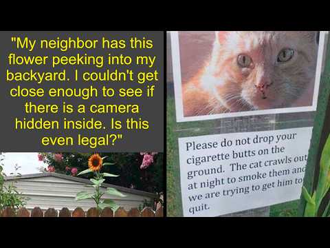 The Craziest Neighbor Stories Shared Online | Humor Sweet