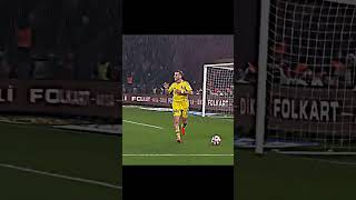 Bizimkılerin Hamsi Keyfi