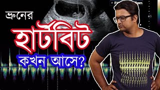 ভ্রুনের বা Baby র হার্টবিট কবে আসে Fetal Heartbeat in TVS or Ultra | The Bong Parenting screenshot 5