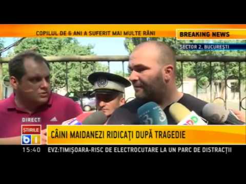 Video: Unde se află anexa?