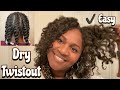 EASY Dry Twistout On Fine Natural Hair