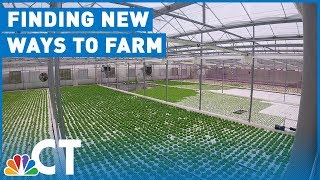 Hydroponics Could Offer Solution for Climate Change Effects on Farming | NBC Connecticut