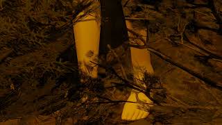 Blender Giantess La Neko Se Arrepiente