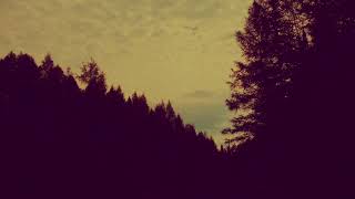 Yellow By Purity Senn Original Song