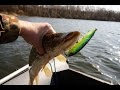 Attack of the pike on megabass dorum 100 mat tiger